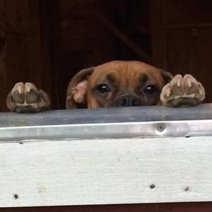 Meet your Posher, Tracey